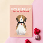 'Best Furr-iend' Mother's Day Card from Dog Cards for Mum Of Life & Lemons 